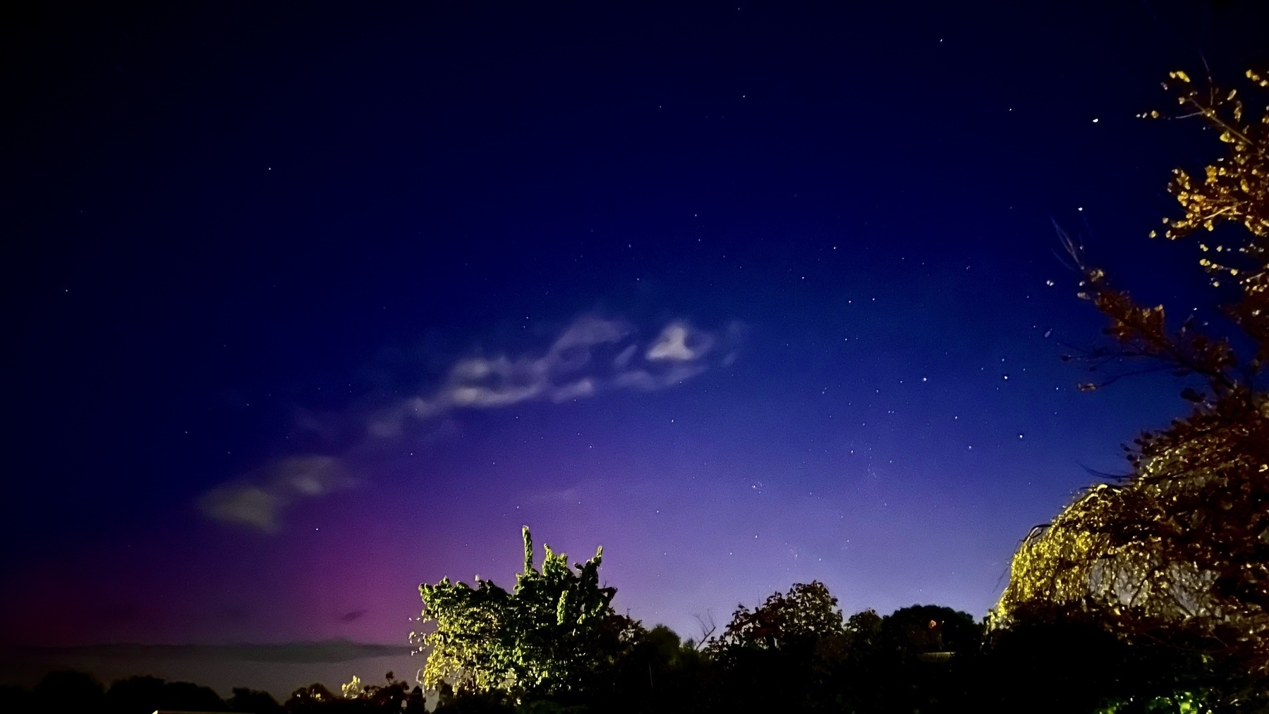 Aurora Australis over a Waikato backyard with the southern cross visible in the middle right 