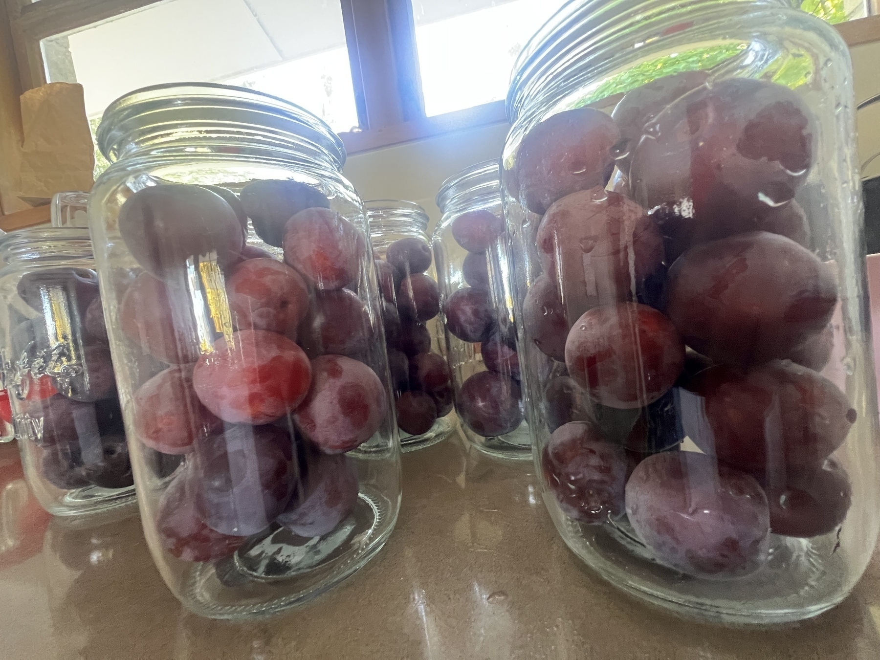 Several glass jars filled with red plums are displayed on a countertop.